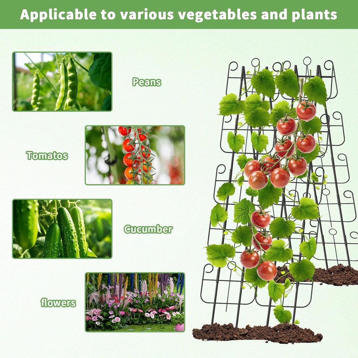2 Pack Trellis for Climbing Plants Indoor, Expandable Heavy-Duty Metal Trellis for Potted Plants Outdoor, Flowers Vine Ivy, Sturdy Houseplant Pothos Plant Climber Support