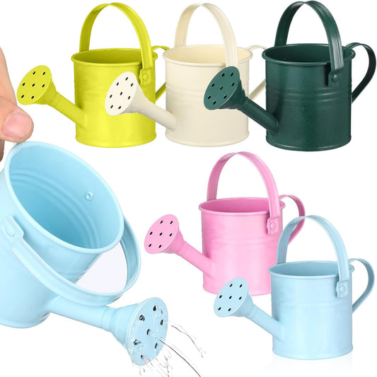 5PCS Mini Watering Cans Kids Metal Watering Can for Indoor Plants, Small Water Can Toddler Gardening Tool Beach Play, Multifunctional Cute Metal Jug for Craft, Home Decor Flower Bucket