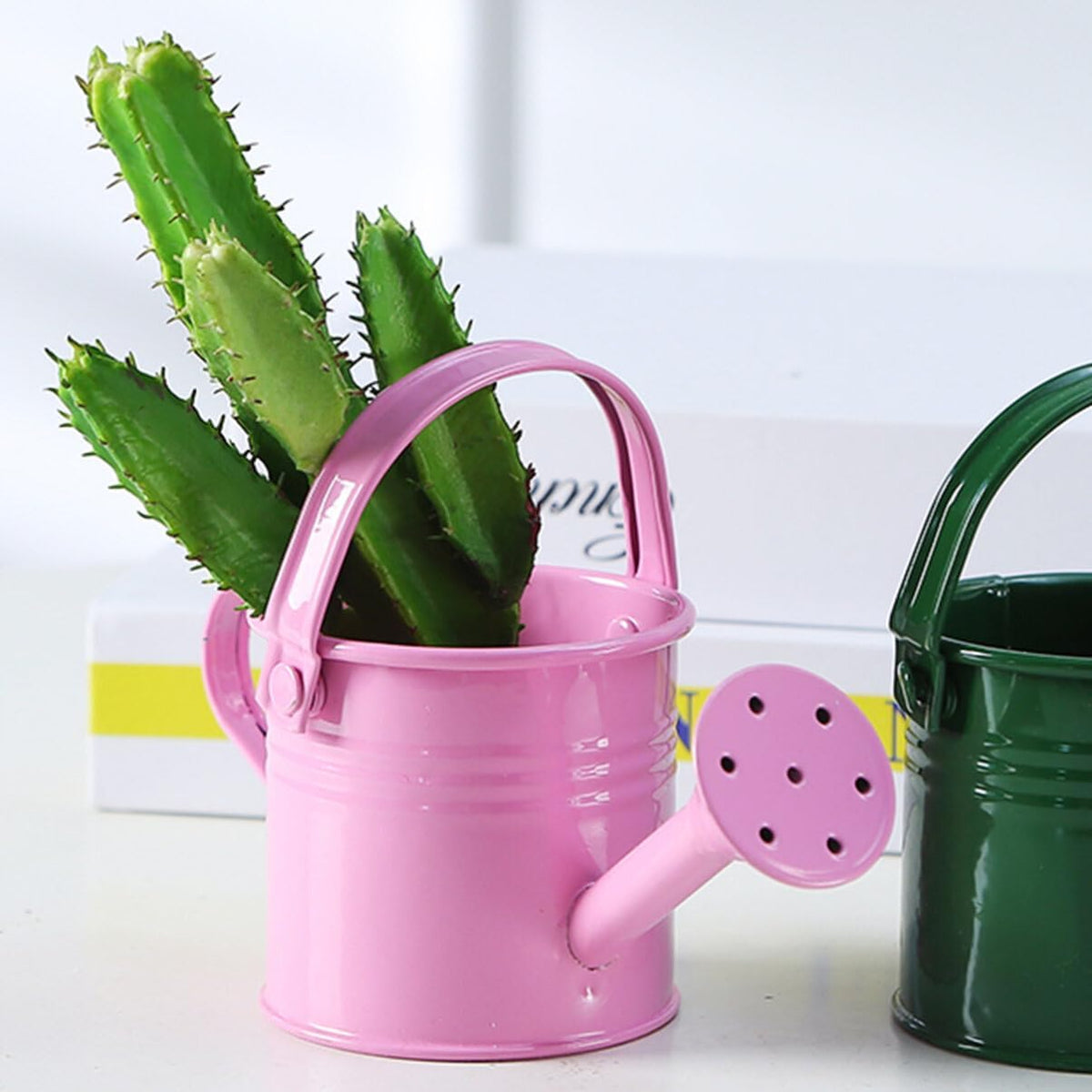 5PCS Mini Watering Cans Kids Metal Watering Can for Indoor Plants, Small Water Can Toddler Gardening Tool Beach Play, Multifunctional Cute Metal Jug for Craft, Home Decor Flower Bucket