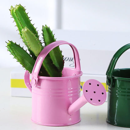 5PCS Mini Watering Cans Kids Metal Watering Can for Indoor Plants, Small Water Can Toddler Gardening Tool Beach Play, Multifunctional Cute Metal Jug for Craft, Home Decor Flower Bucket