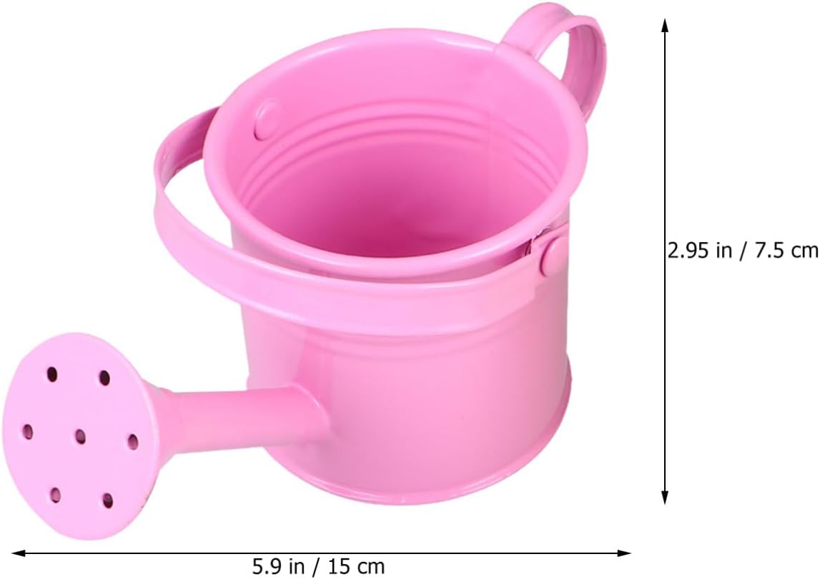 5PCS Mini Watering Cans Kids Metal Watering Can for Indoor Plants, Small Water Can Toddler Gardening Tool Beach Play, Multifunctional Cute Metal Jug for Craft, Home Decor Flower Bucket
