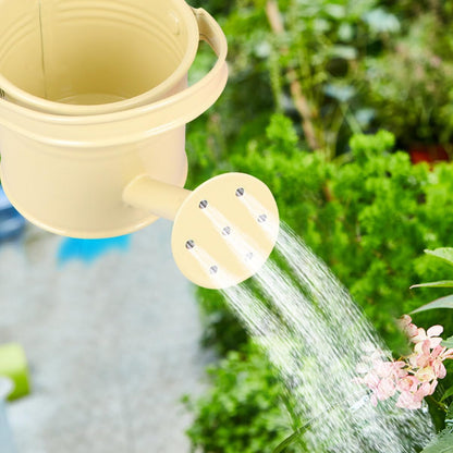 5PCS Mini Watering Cans Kids Metal Watering Can for Indoor Plants, Small Water Can Toddler Gardening Tool Beach Play, Multifunctional Cute Metal Jug for Craft, Home Decor Flower Bucket