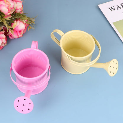 5PCS Mini Watering Cans Kids Metal Watering Can for Indoor Plants, Small Water Can Toddler Gardening Tool Beach Play, Multifunctional Cute Metal Jug for Craft, Home Decor Flower Bucket