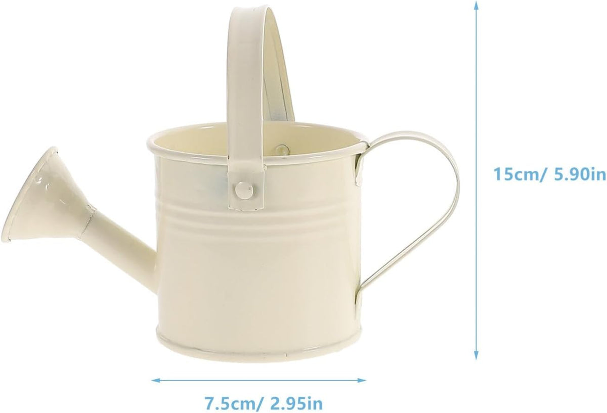 5PCS Mini Watering Cans Kids Metal Watering Can for Indoor Plants, Small Water Can Toddler Gardening Tool Beach Play, Multifunctional Cute Metal Jug for Craft, Home Decor Flower Bucket