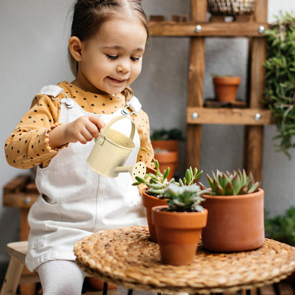 5PCS Mini Watering Cans Kids Metal Watering Can for Indoor Plants, Small Water Can Toddler Gardening Tool Beach Play, Multifunctional Cute Metal Jug for Craft, Home Decor Flower Bucket