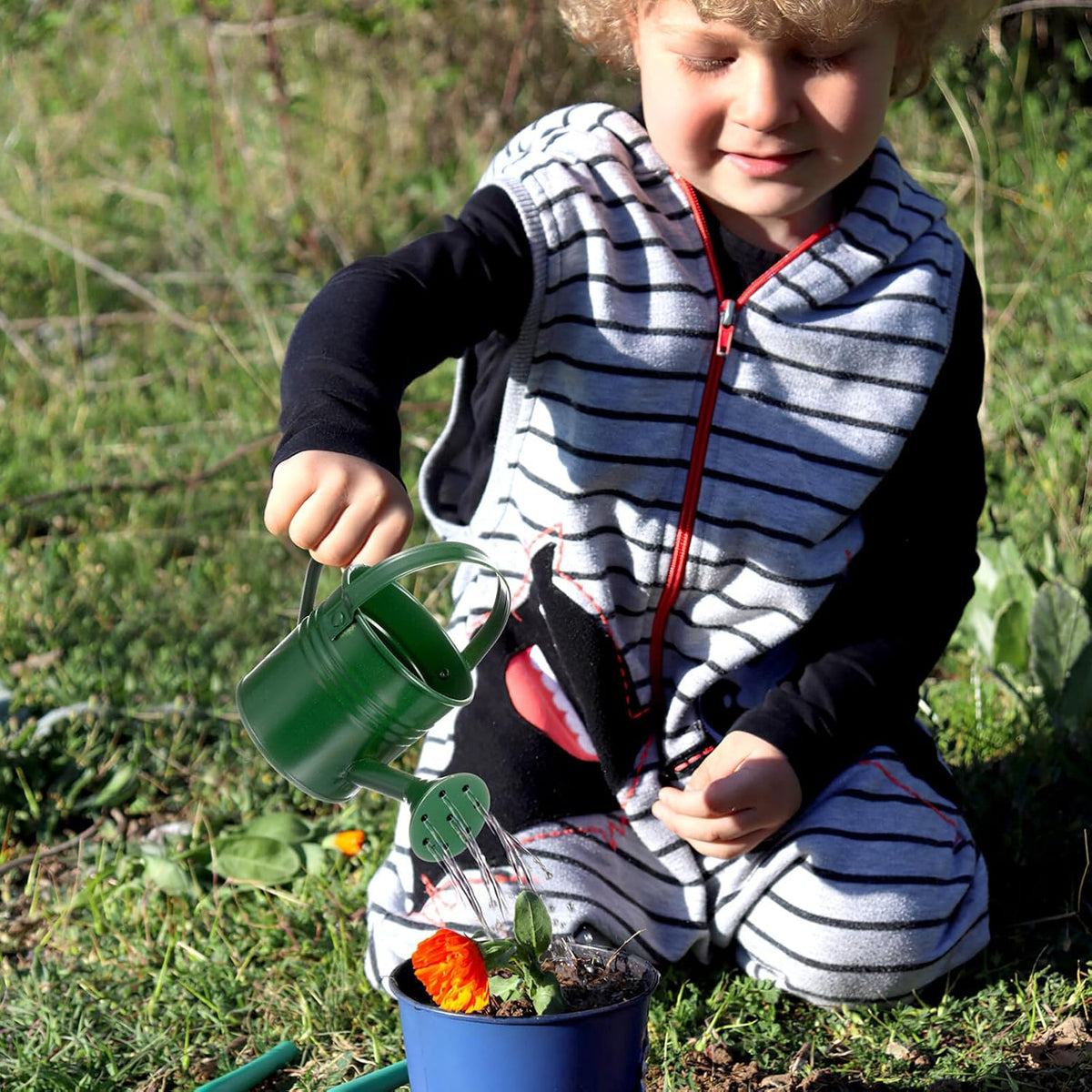 5PCS Mini Watering Cans Kids Metal Watering Can for Indoor Plants, Small Water Can Toddler Gardening Tool Beach Play, Multifunctional Cute Metal Jug for Craft, Home Decor Flower Bucket