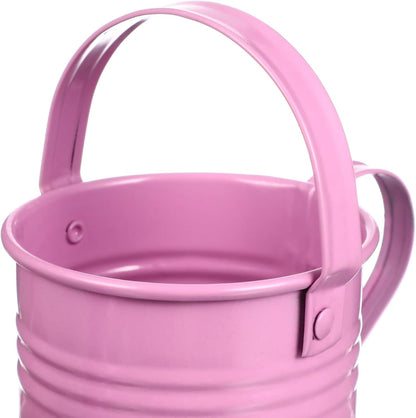 5PCS Mini Watering Cans Kids Metal Watering Can for Indoor Plants, Small Water Can Toddler Gardening Tool Beach Play, Multifunctional Cute Metal Jug for Craft, Home Decor Flower Bucket