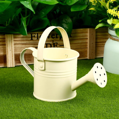 5PCS Mini Watering Cans Kids Metal Watering Can for Indoor Plants, Small Water Can Toddler Gardening Tool Beach Play, Multifunctional Cute Metal Jug for Craft, Home Decor Flower Bucket