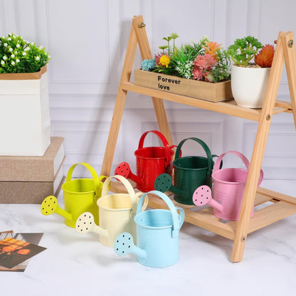 5PCS Mini Watering Cans Kids Metal Watering Can for Indoor Plants, Small Water Can Toddler Gardening Tool Beach Play, Multifunctional Cute Metal Jug for Craft, Home Decor Flower Bucket
