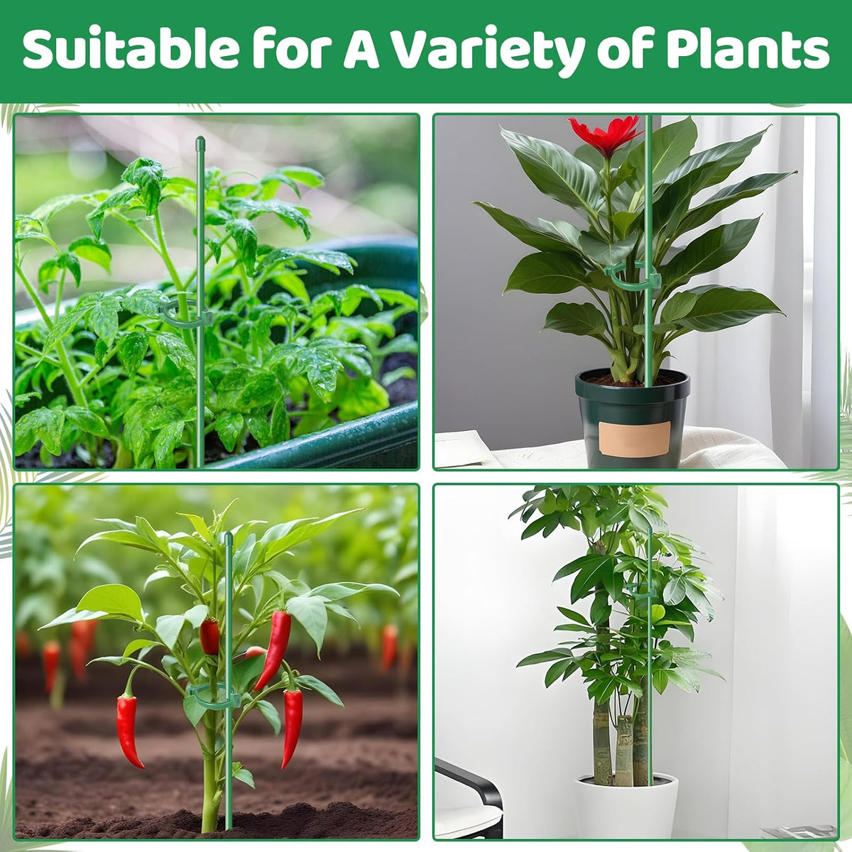 16inch & 12inch Adjustable Plant Stakes, 18Pcs Plant Supports Plant Sticks