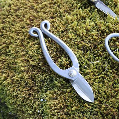 Ikenobo Shears Japanese Flower Scissors for Fresh Flower Arranging 6.5" Professional Floral Scissors, Japanese Stainless Steel, Silver, Made in JAPAN