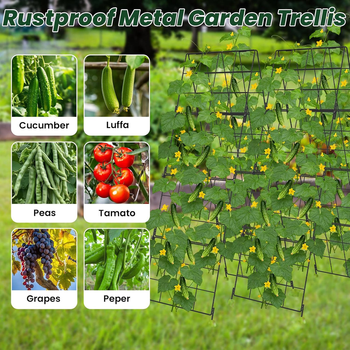 Adjustable A-Frame Trellis for Climbing Plants Outdoor, 48"x32" Cucumber Trellis for Raised Bed, Metal Garden Trellis with Grid Design, Tomato, Grape, Bean, Pea, Squash, Vegetable Trellis (Black)