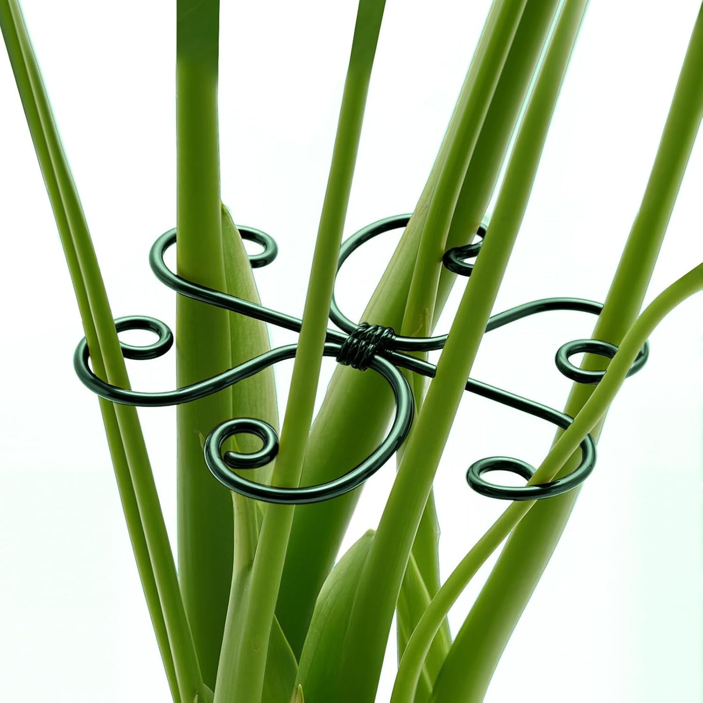 4PCS Iron Monstera Support, Uniquely Designed Plant Support Stakes for Indoor Plants, Stable Plant Stakes and Supports, Turtle Shell Bamboo Clamp Set for Thriving Growth
