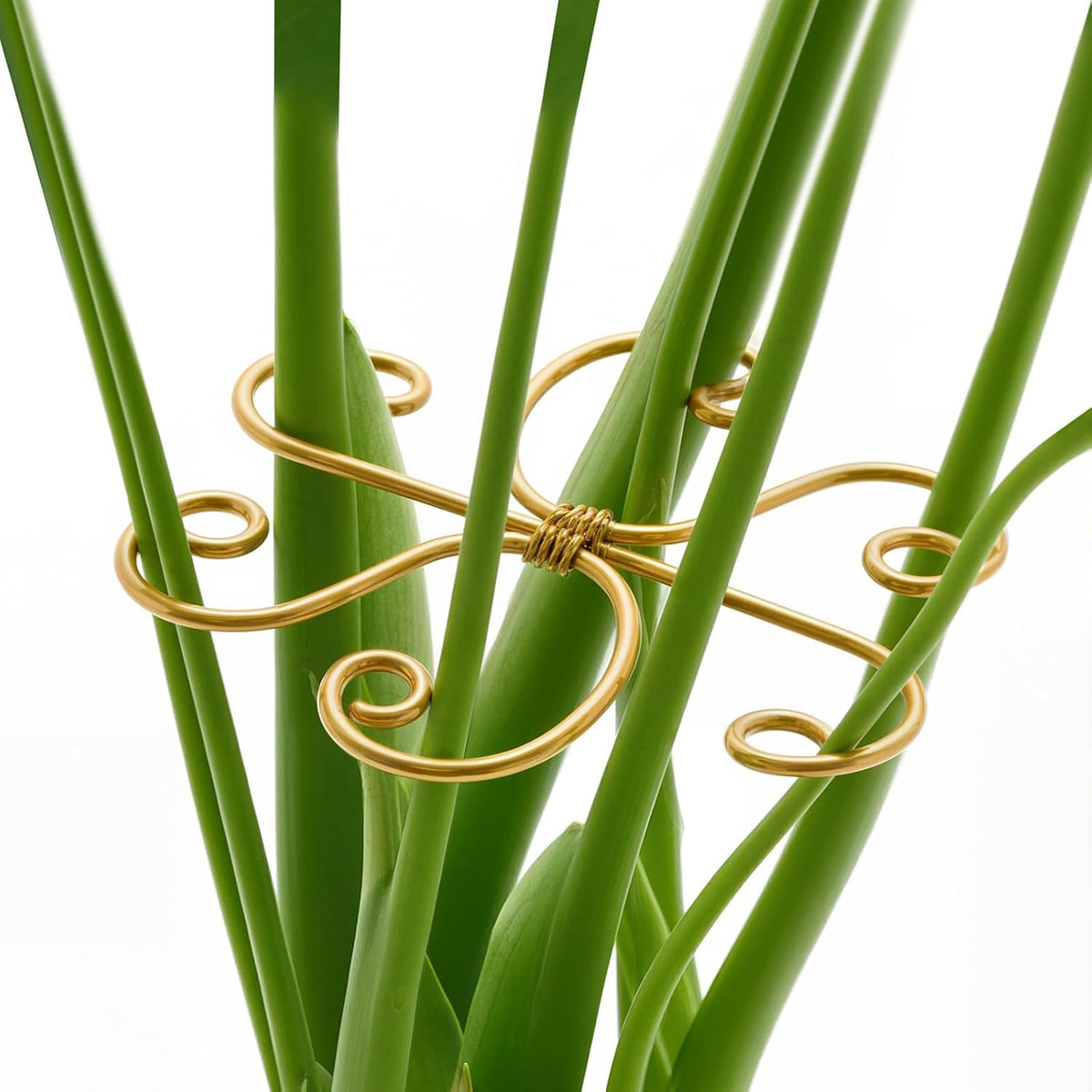 4PCS Iron Monstera Support, Uniquely Designed Plant Support Stakes for Indoor Plants, Stable Plant Stakes and Supports, Turtle Shell Bamboo Clamp Set for Thriving Growth