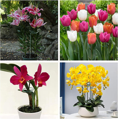 20 Pack 16 Inch Plant Support Stakes for Outdoor Plants and Indoor Flowers