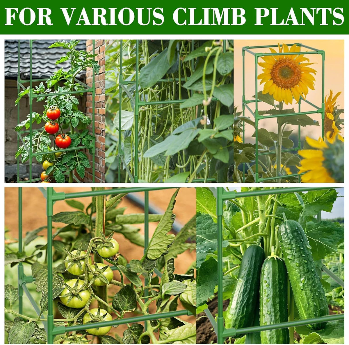 60 Inch 4 Pack Heavy Duty Tomato Cages with Clips