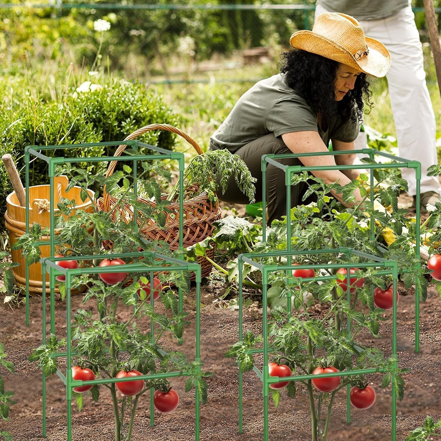 60 Inch 4 Pack Heavy Duty Tomato Cages with Clips