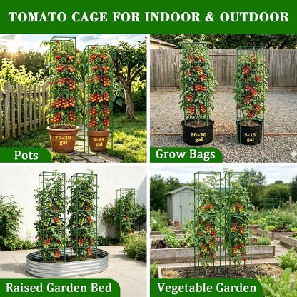 60 Inch 4 Pack Heavy Duty Tomato Cages with Clips