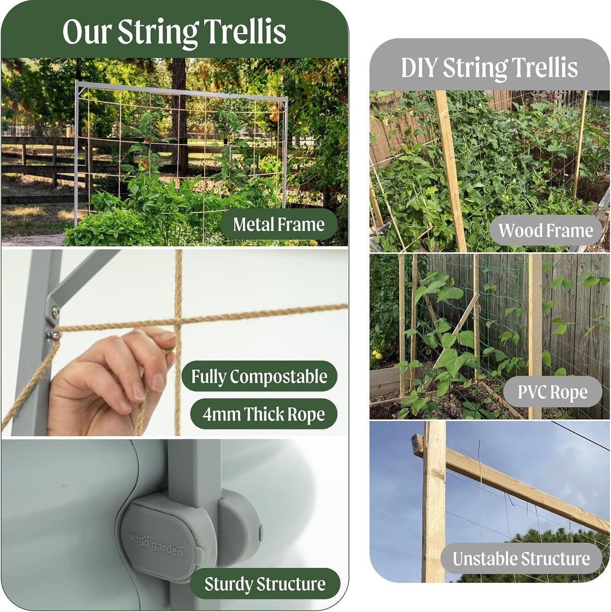 8.0ft Long Tomato Metal Frame Trellis, Garden Trellis for Climbing Plants Like Cucumber Beans Tomatoes & Vines, (Garden Beds Not Included)