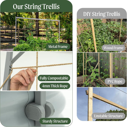 8.0ft Long Tomato Metal Frame Trellis, Garden Trellis for Climbing Plants Like Cucumber Beans Tomatoes & Vines, (Garden Beds Not Included)