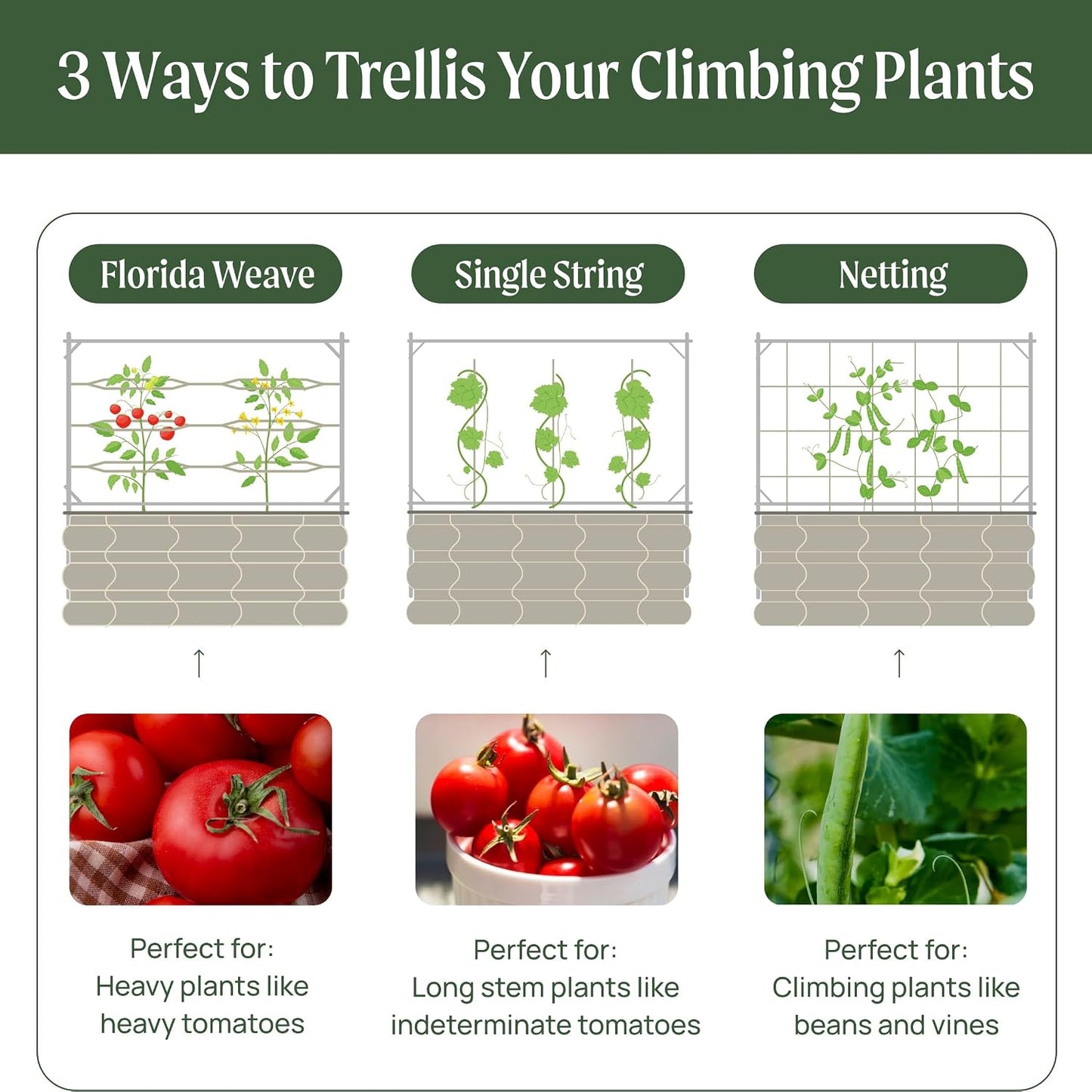 8.0ft Long Tomato Metal Frame Trellis, Garden Trellis for Climbing Plants Like Cucumber Beans Tomatoes & Vines, (Garden Beds Not Included)