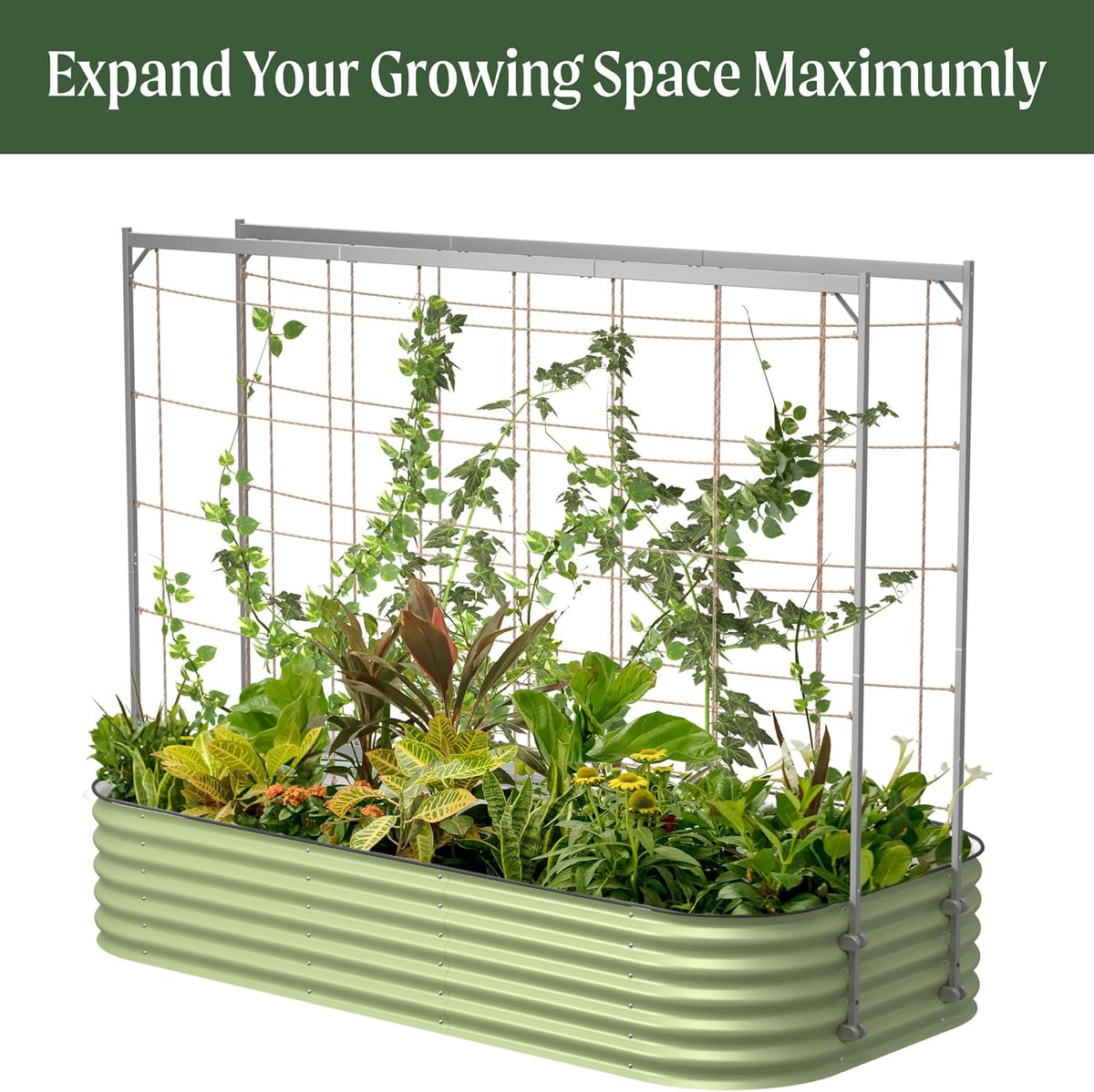 8.0ft Long Tomato Metal Frame Trellis, Garden Trellis for Climbing Plants Like Cucumber Beans Tomatoes & Vines, (Garden Beds Not Included)