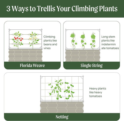 8.0ft Long Tomato Metal Frame Trellis, Garden Trellis for Climbing Plants Like Cucumber Beans Tomatoes & Vines, (Garden Beds Not Included)