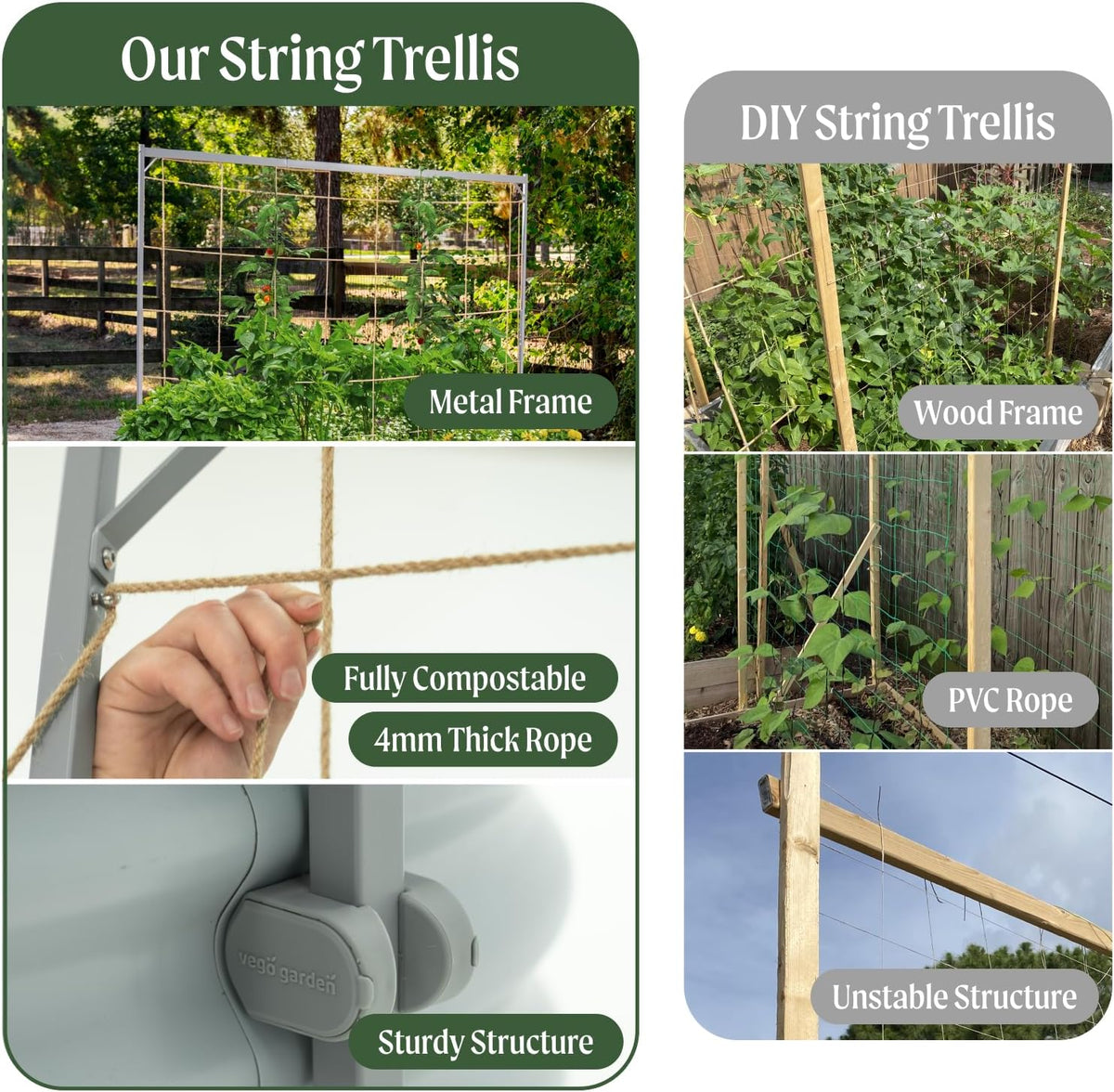 8.0ft Long Tomato Metal Frame Trellis, Garden Trellis for Climbing Plants Like Cucumber Beans Tomatoes & Vines, (Garden Beds Not Included)