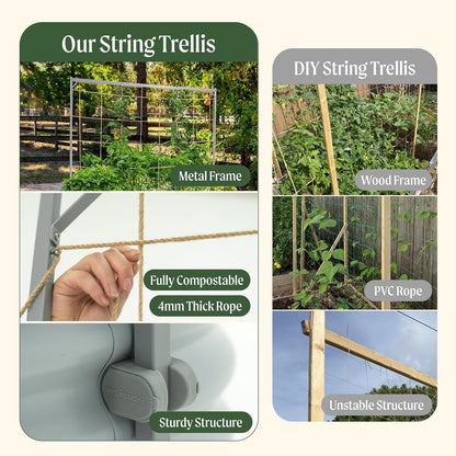 8.0ft Long Tomato Metal Frame Trellis, Garden Trellis for Climbing Plants Like Cucumber Beans Tomatoes & Vines, (Garden Beds Not Included)
