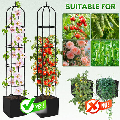 Garden Obelisk Trellis for Climbing Plants - 76" Tall Weather-Resistant Rustproof Metal Plant Flower Support for Roses, Clematis, Tomatoes & Vines, Indoor/Outdoor Use, 12”D (2 Pack)