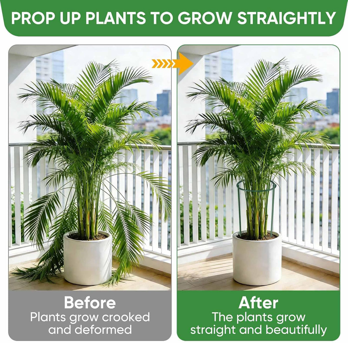 10 Pack 24" H x 10" W Tall Plant Support Stakes, Half Round Metal Peony Cages and Supports, Monstera Plant Support Snake Plant Stake Flower Support Ring for Tomato, Hydrangea Outdoor Indoor