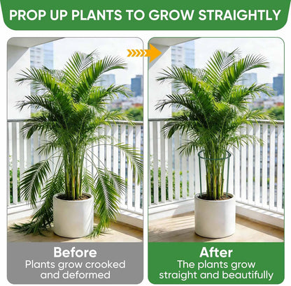 10 Pack 24" H x 10" W Tall Plant Support Stakes, Half Round Metal Peony Cages and Supports, Monstera Plant Support Snake Plant Stake Flower Support Ring for Tomato, Hydrangea Outdoor Indoor