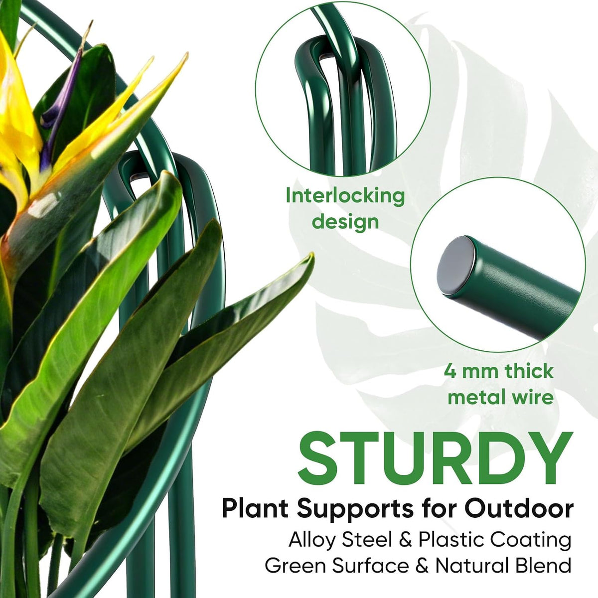 10 Pack 24" H x 10" W Tall Plant Support Stakes, Half Round Metal Peony Cages and Supports, Monstera Plant Support Snake Plant Stake Flower Support Ring for Tomato, Hydrangea Outdoor Indoor