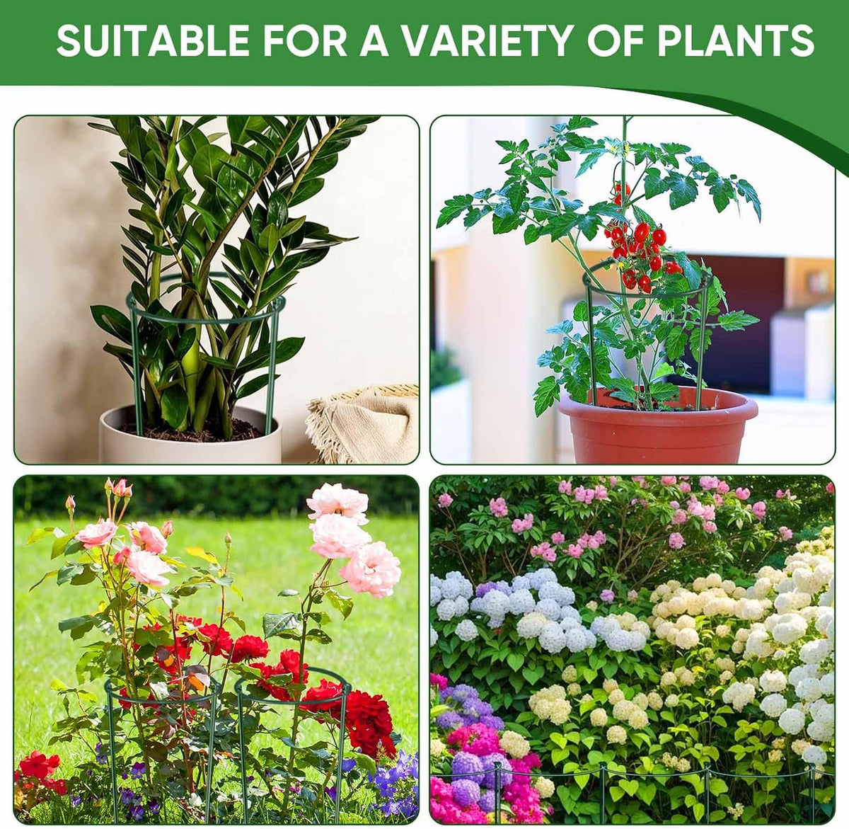 10 Pack 24" H x 10" W Tall Plant Support Stakes, Half Round Metal Peony Cages and Supports, Monstera Plant Support Snake Plant Stake Flower Support Ring for Tomato, Hydrangea Outdoor Indoor