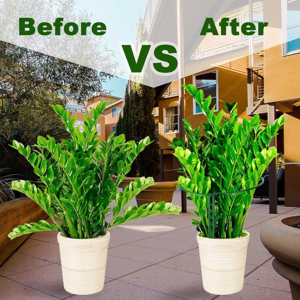 10 Pack 24" H x 10" W Tall Plant Support Stakes, Half Round Metal Peony Cages and Supports, Monstera Plant Support Snake Plant Stake Flower Support Ring for Tomato, Hydrangea Outdoor Indoor