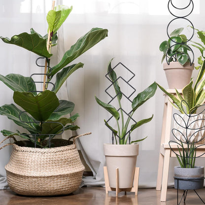 23in Plant Trellis for Climbing Plants Indoor, 4 Shapes