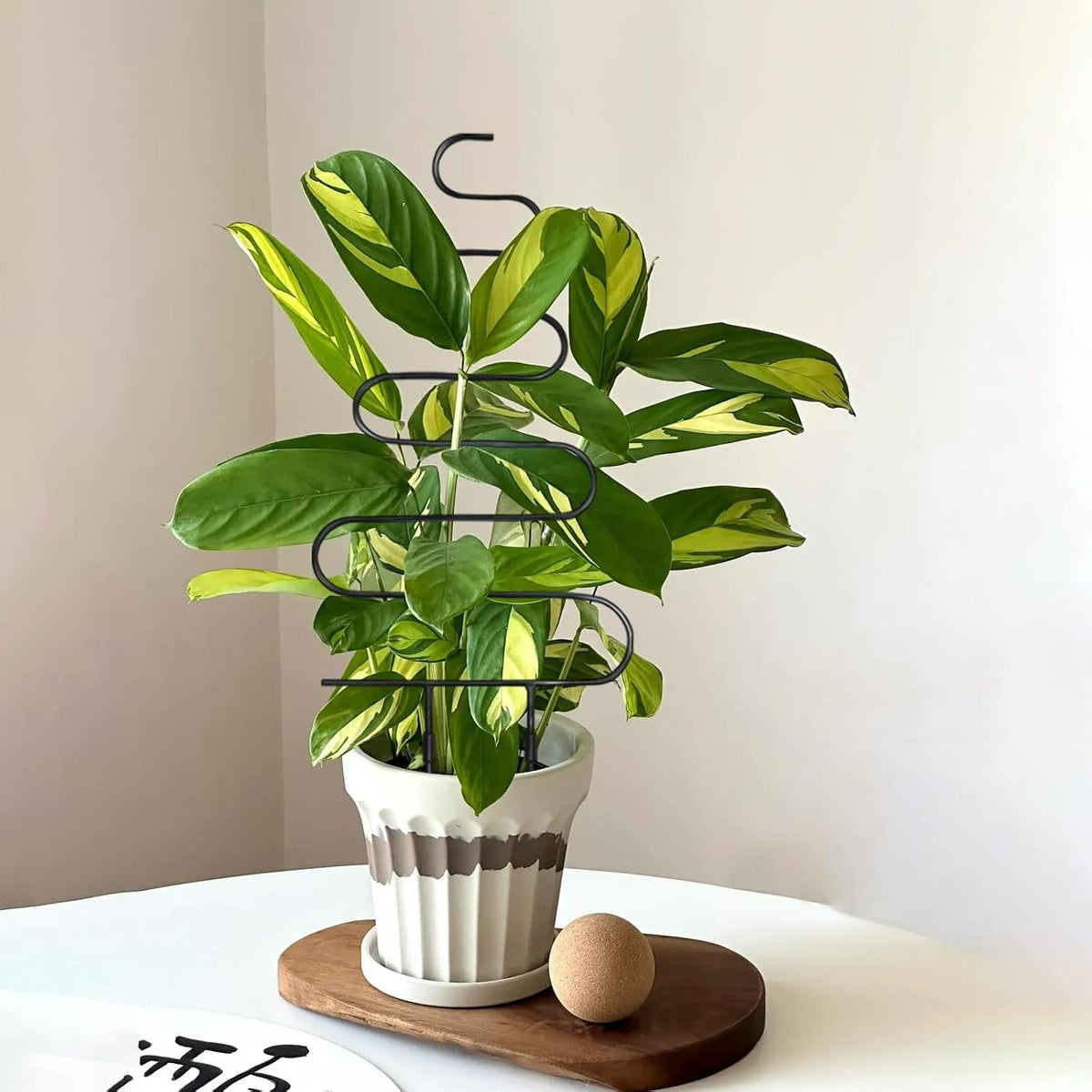 23in Plant Trellis for Climbing Plants Indoor, 4 Shapes