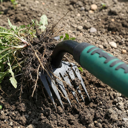 2 Pack Weeding Tools, 6-Tooth Manganese Steel Manual Weeder & Digging Tool with Ergonomic Rubber Grip, Multi-Functional Gardening Hand Tools for Removing Dandelions, Thistles & Yard Weeds