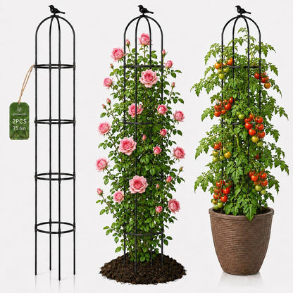 Garden Obelisk Trellis for Climbing Plants,6.3 ft, Black, 2PC