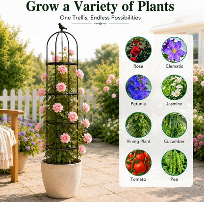 Garden Obelisk Trellis for Climbing Plants,6.3 ft, Black, 2PC