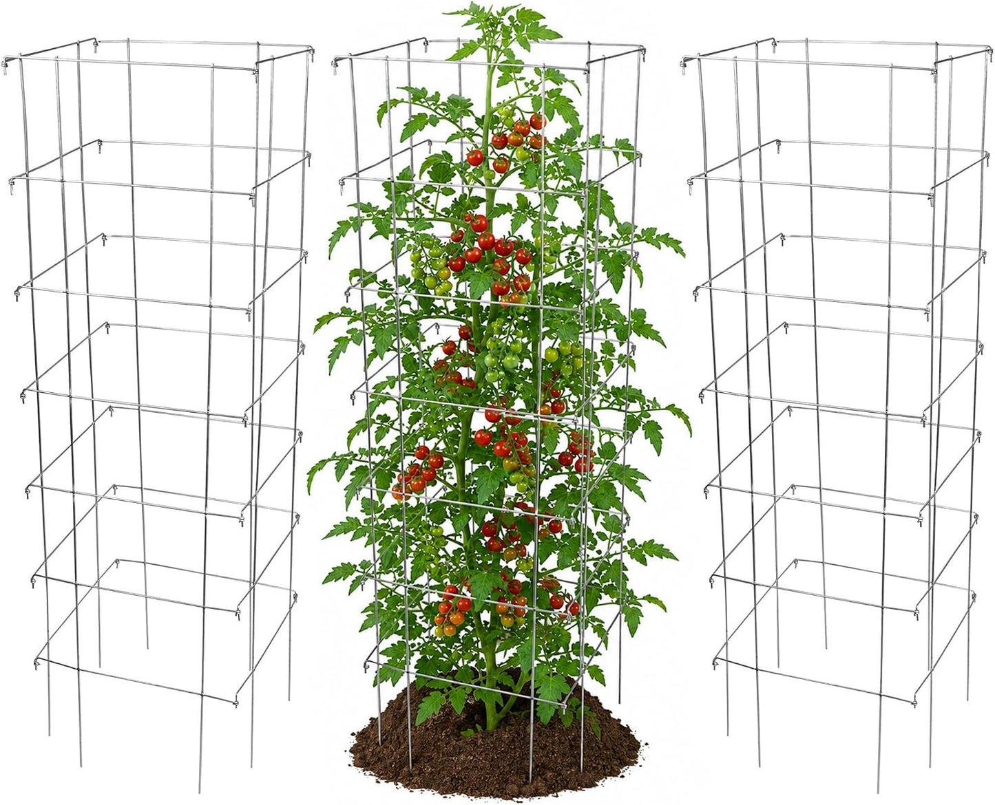 Square Tomato Cage, 58 Inch (Pack of 3) – Heavy Duty Galvanized Steel Plant Support, Collapsible Garden Trellis with 8-Leg Stability for Climbing Vegetables & Vines