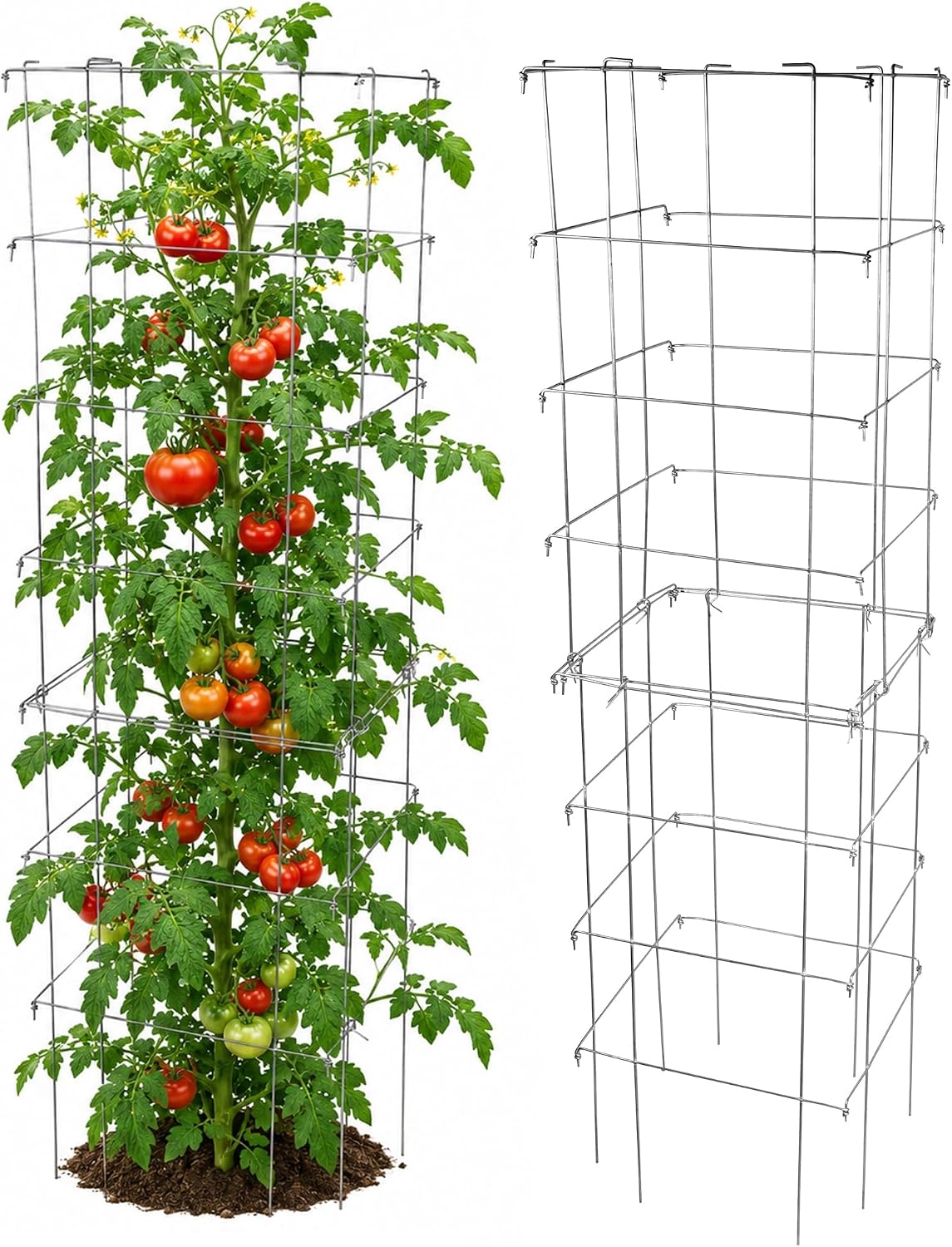 Square Tomato Cage, 58 Inch (Pack of 3) – Heavy Duty Galvanized Steel Plant Support, Collapsible Garden Trellis with 8-Leg Stability for Climbing Vegetables & Vines