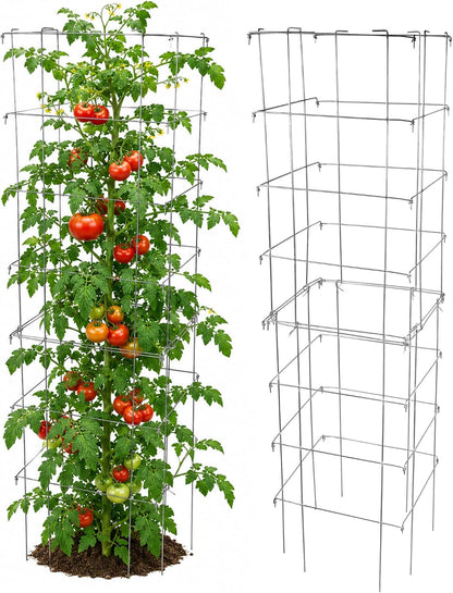 Square Tomato Cage, 58 Inch (Pack of 3) – Heavy Duty Galvanized Steel Plant Support, Collapsible Garden Trellis with 8-Leg Stability for Climbing Vegetables & Vines