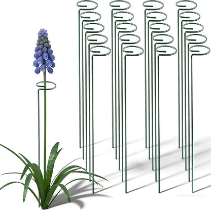 20 Pieces 16 inch Green Single Stem Plant Stakes Garden Plant Support Rings Flower Support Hoops Prop for Amaryllis Orchid Lily Rose Peony Gladiolus
