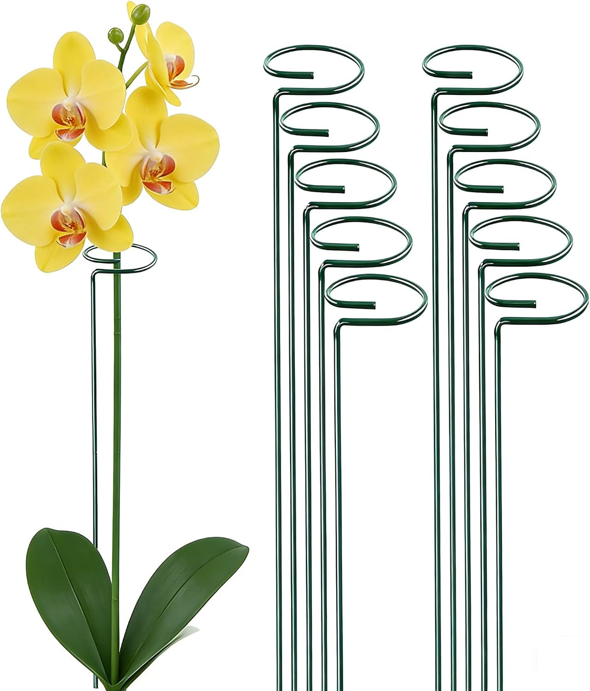 20 Pieces 16 inch Green Single Stem Plant Stakes Garden Plant Support Rings Flower Support Hoops Prop for Amaryllis Orchid Lily Rose Peony Gladiolus
