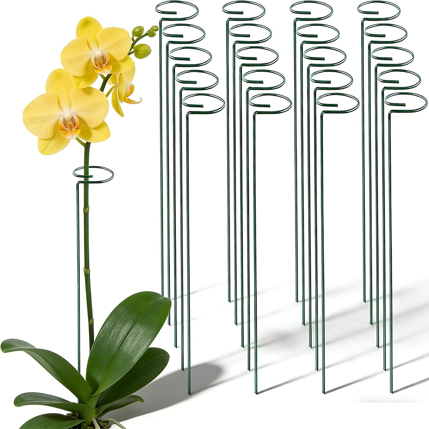 20 Pieces 16 inch Green Single Stem Plant Stakes Garden Plant Support Rings Flower Support Hoops Prop for Amaryllis Orchid Lily Rose Peony Gladiolus