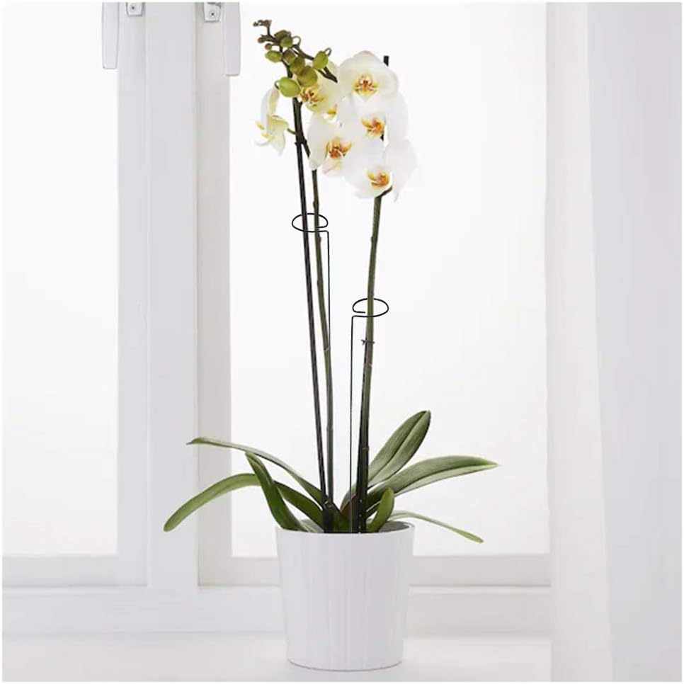 20 Pieces 16 inch Green Single Stem Plant Stakes Garden Plant Support Rings Flower Support Hoops Prop for Amaryllis Orchid Lily Rose Peony Gladiolus