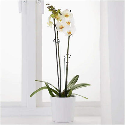 20 Pieces 16 inch Green Single Stem Plant Stakes Garden Plant Support Rings Flower Support Hoops Prop for Amaryllis Orchid Lily Rose Peony Gladiolus