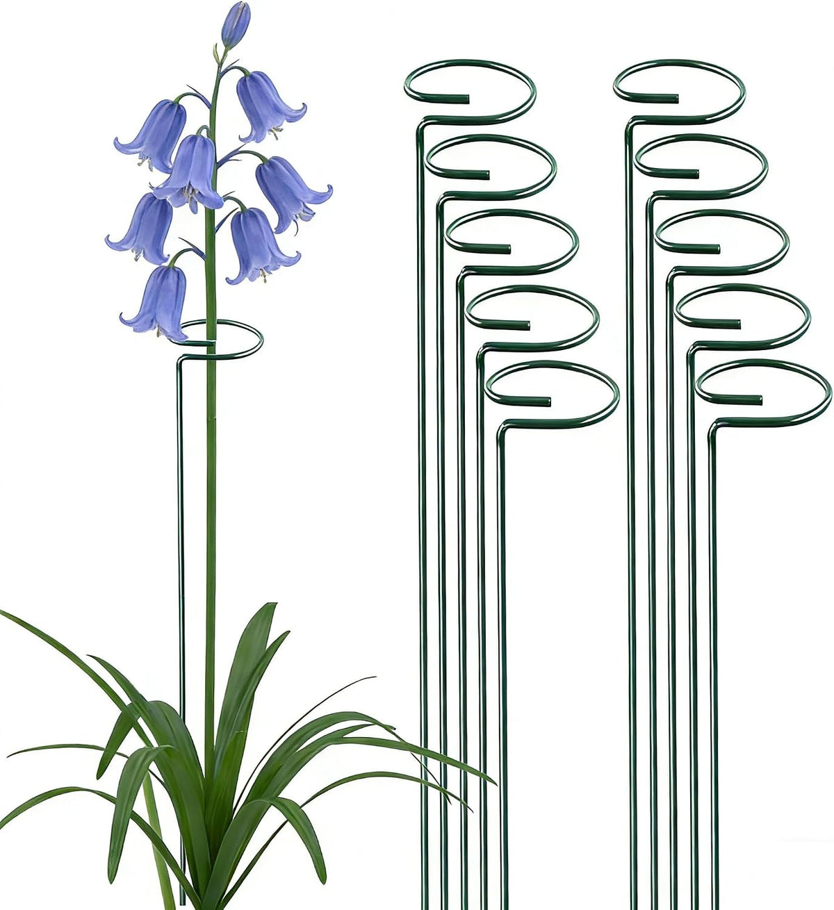 20 Pieces 16 inch Green Single Stem Plant Stakes Garden Plant Support Rings Flower Support Hoops Prop for Amaryllis Orchid Lily Rose Peony Gladiolus