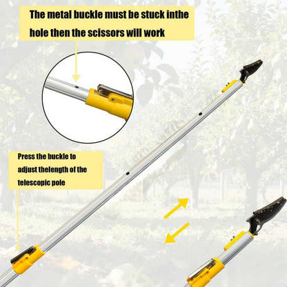 Telescopic Pole Pruner & Fruit Picker with Locking Adjustable Head